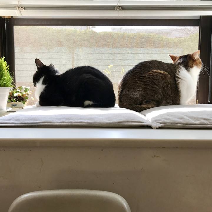 1bbb2c36 8f99 4f02 94f2 614565f6826e