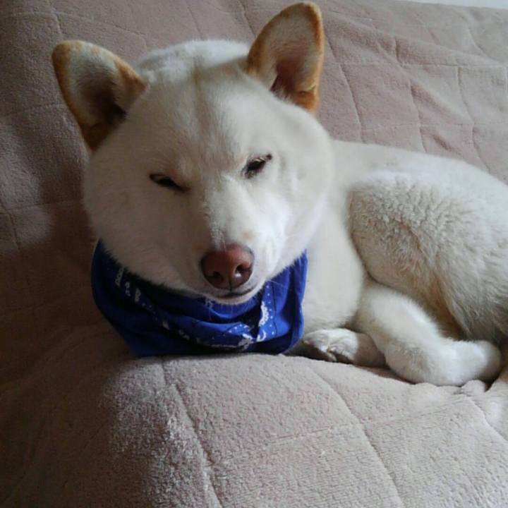 1bbb97f2 a94b 4cfb b21c ffc2480fdda5