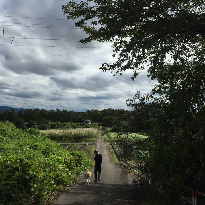 1bbcf8ea a13c 43d7 b2fd 3b84da4932c3