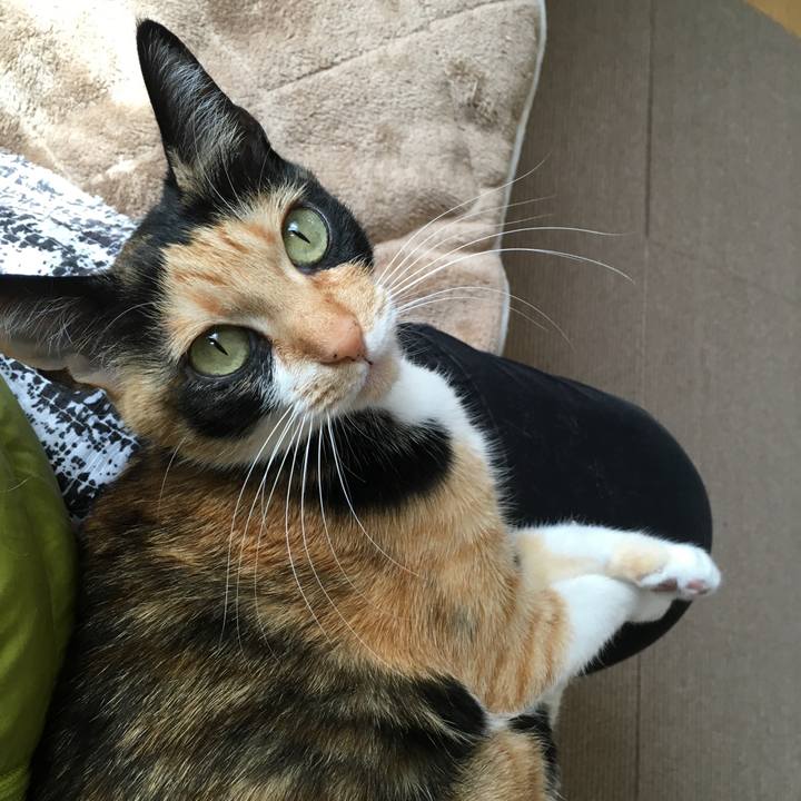 1bbd1b9d 2d64 44ad 8dc7 93cbf69261b7