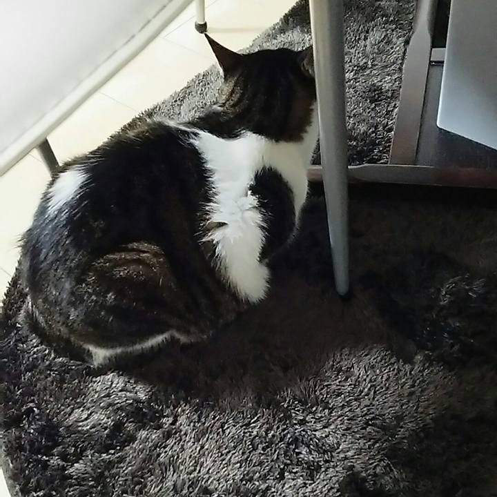 1bbd2411 46e1 4eb4 8724 f582ff2f3fe0