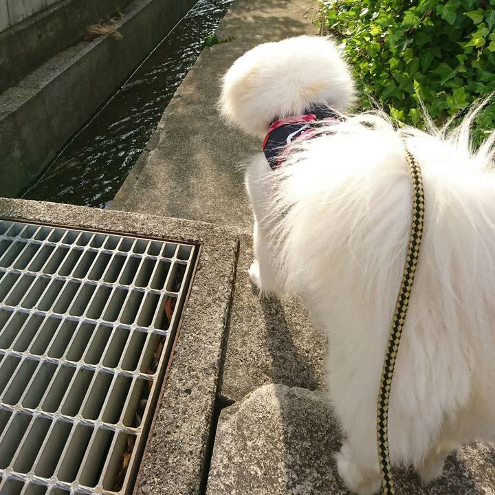 1bbdd914 c57d 4236 9d7e 82d3e3a6f202