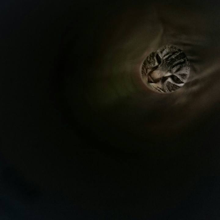 1bbe19d4 56f7 4cf3 a2ef bd28e790fdae