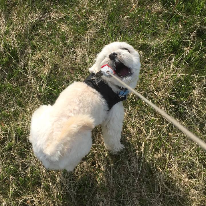 1bbe2c9a a5d4 4352 bdfa 60c8ed474f62