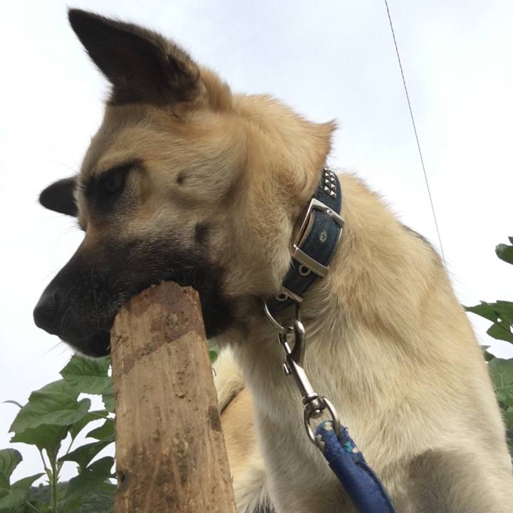 1bbe83a6 2def 463b a49f c0370ac32d10