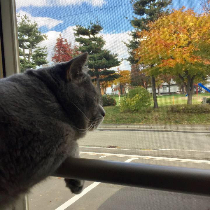 1bbeeac2 52a2 4a4f b2e5 5b82b702149c