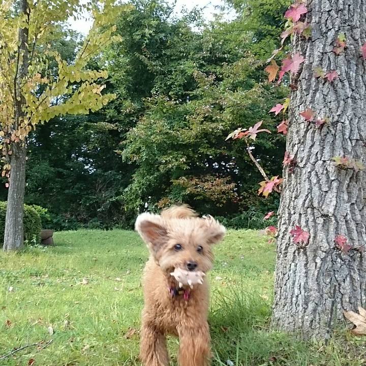 1bbf6ebb a5bb 47ae 8093 1e3614b9aa11