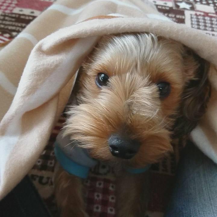 1bbfad9f 4df6 4a56 8a50 23ff5043f44a