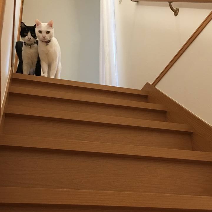 1bbfd12c 78ab 4efb bc30 5771d289c509