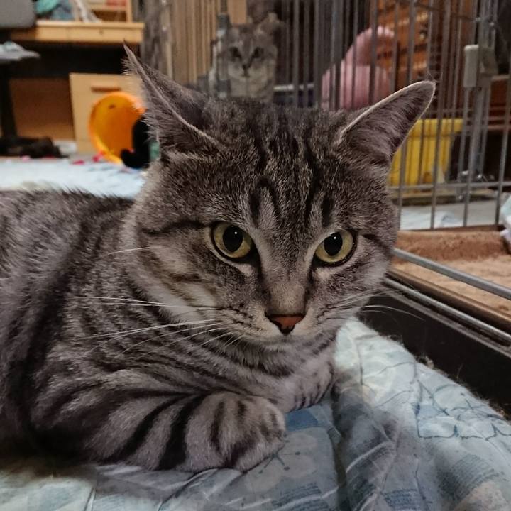 1bbffc69 7329 4a25 80a0 74929f51f0a0