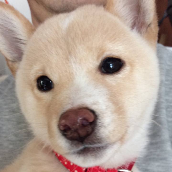 1bc038a5 1333 4dcd b7fb c8f49cef637d