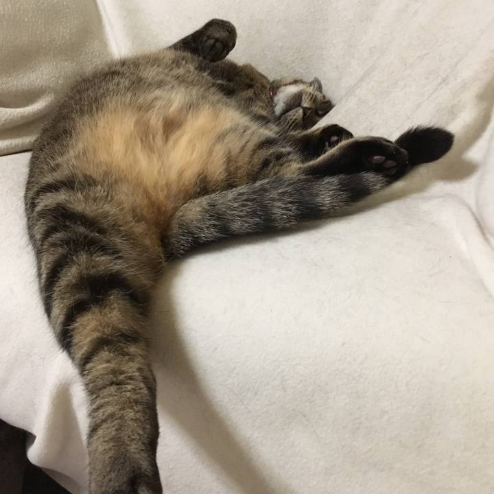 1bc06aa9 3573 4f65 b33f 628b017a36c3