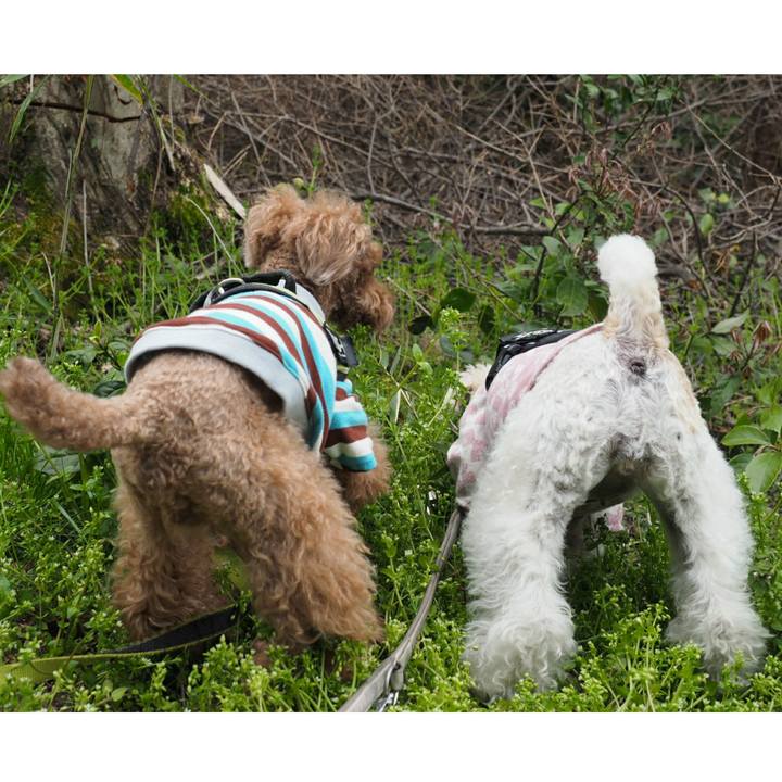 1bc12b98 1fea 4d4b a716 b7f9ace0c593