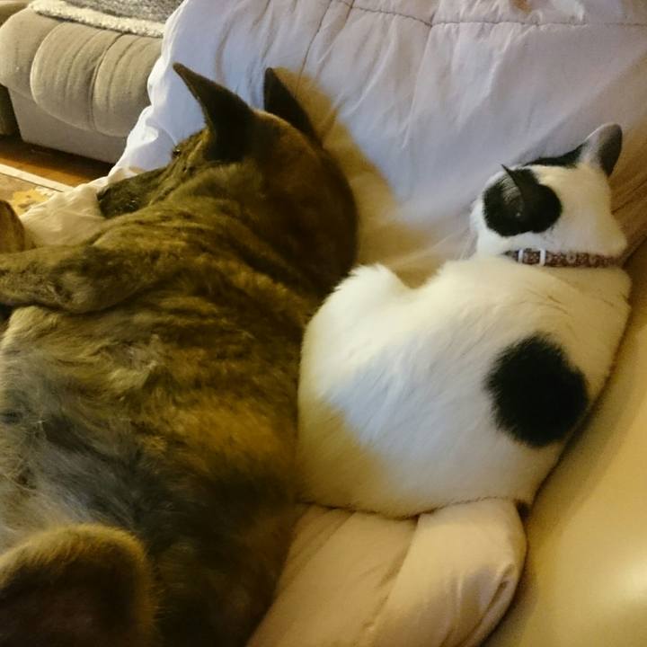 1bc168e4 be56 431b a232 18a4ae715a1d