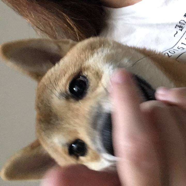 1bc16da0 b99a 4ad1 bd5f fceffa22df77