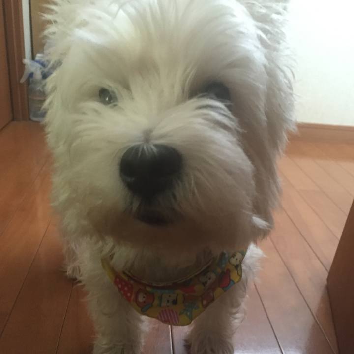 1bc19e8a c918 49cc 9b5a 95aa8fbcbc08