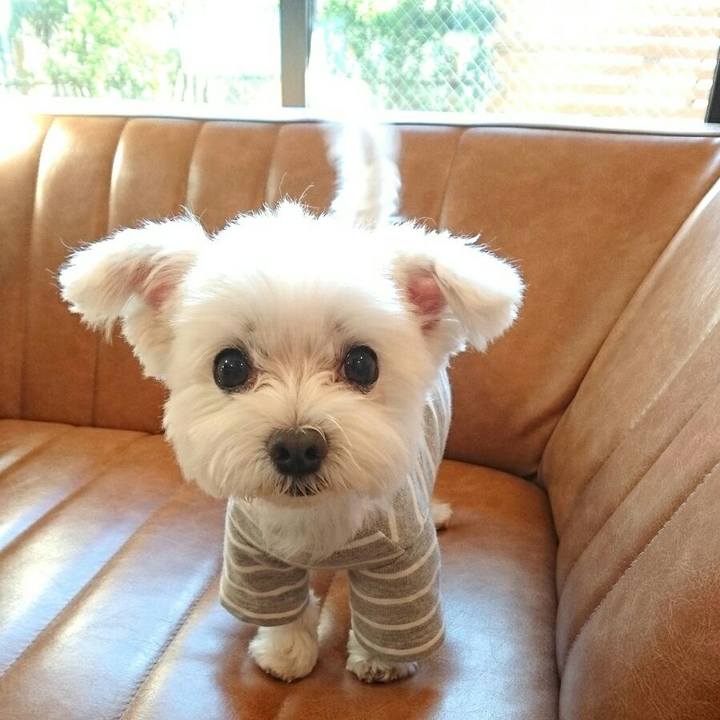 1bc1af4f d299 44bd b002 1337a1fc8e43