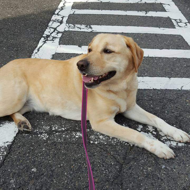 1bc1beb4 5d6d 4e27 8e29 867b625138c9