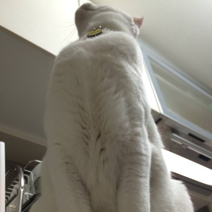 1bc27a99 915c 4a11 b183 ff09a231cf50