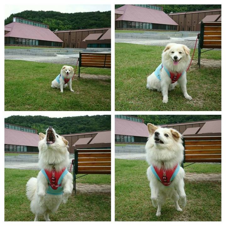 1bc299b7 28d6 4a3c 92c2 6437f59ccc94