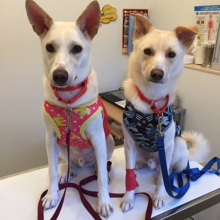 1bc2e9ba 5ec7 46d5 ad09 5f251ad58103