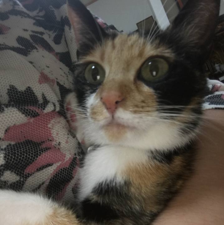 1bc30777 3f87 4220 a9c8 eca02893b1dd