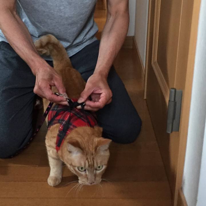 1bc333c7 9170 4086 82ef 8711f45d153e