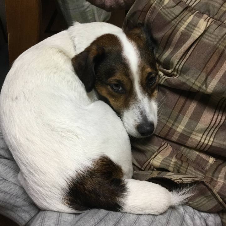 1bc39d97 f31f 4792 8183 e350d00bcfe8