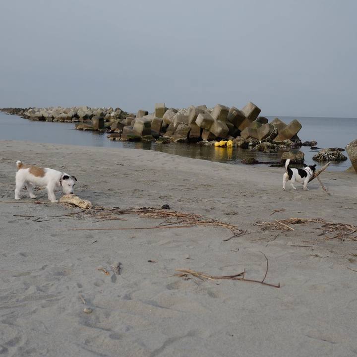 1bc4c1cd 9d8d 4b3e a189 355c300f3479