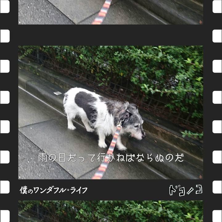 1bc52fc5 73c7 4d02 9dce 4e2bc66ff41e