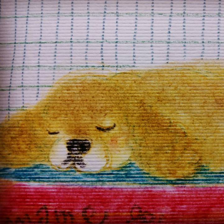 1bc53f33 004f 43d1 b72c 9e2f3acec870