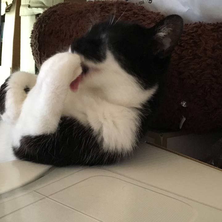 1bc560ef 1255 47e0 9756 6d457f30023f