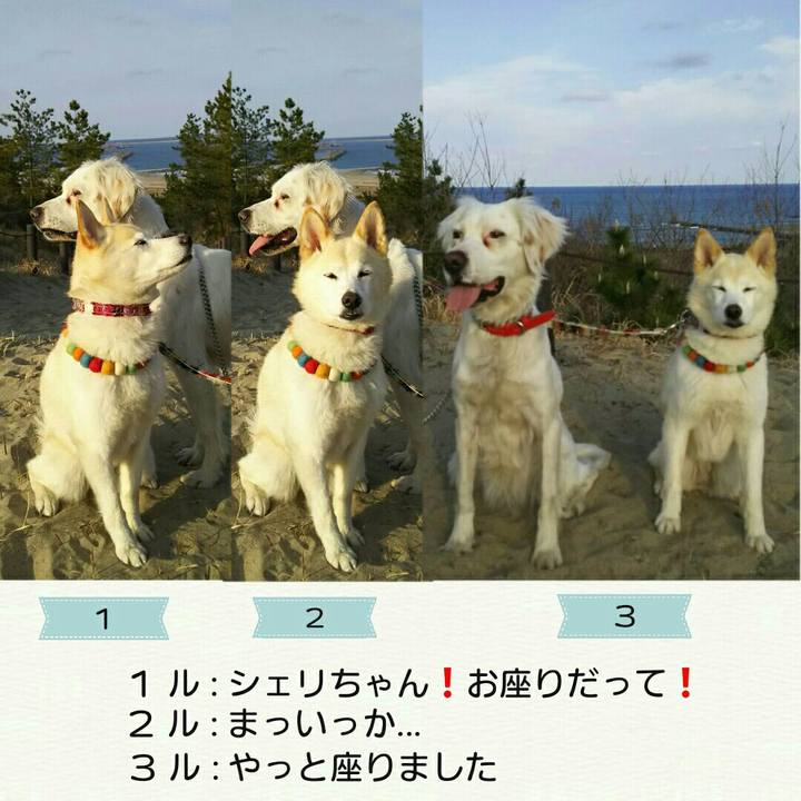 1bc59ea9 5329 4d11 ae6a cf4028c60a37