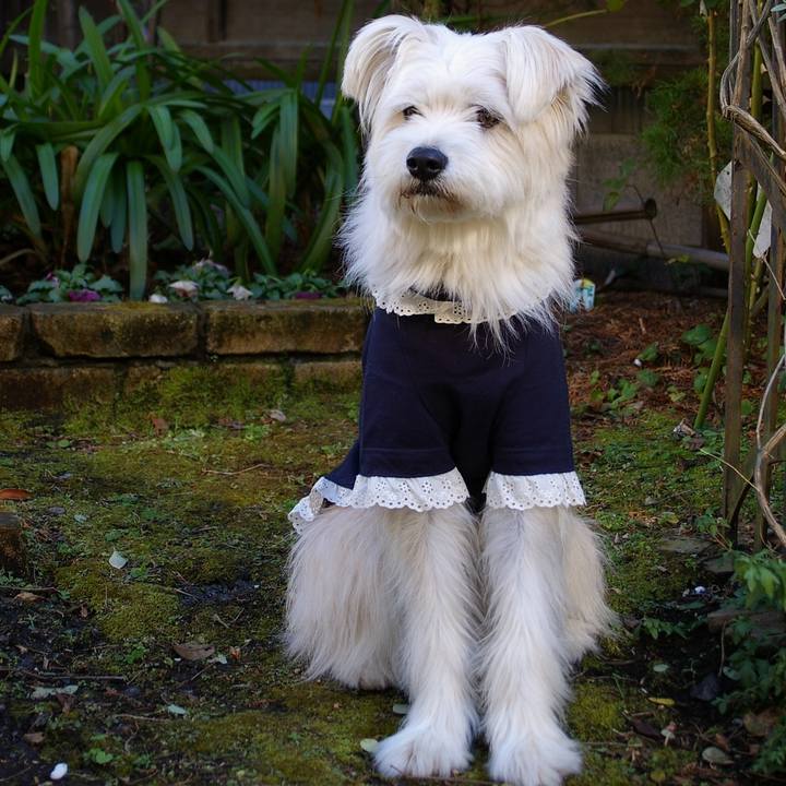 1bc6814e 7729 40b0 ab0f 444101b6daf4