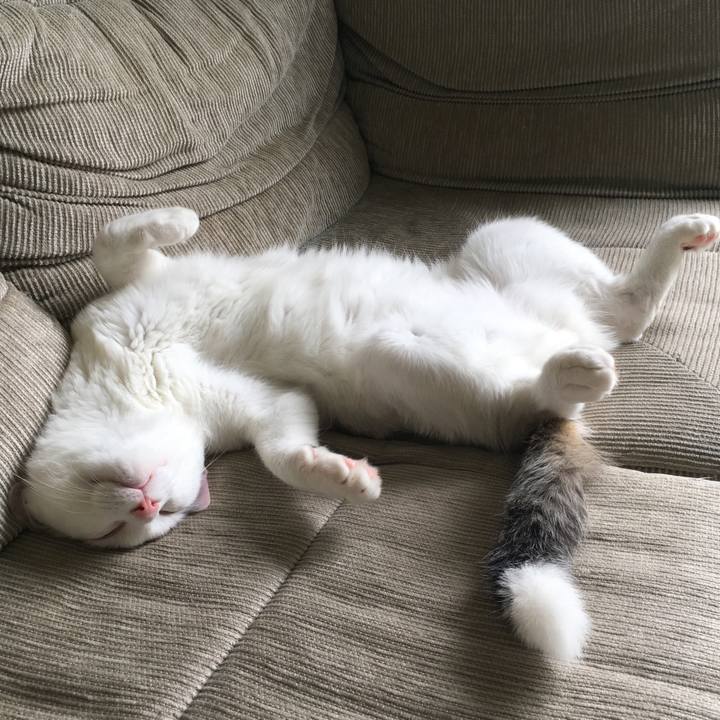 1bc753e7 166e 4cff a051 be60e96c0727