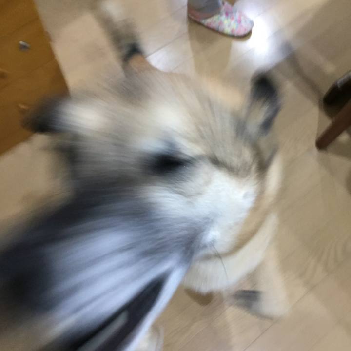 1bc7e3c8 0742 46ef a754 80e066cc4dbc