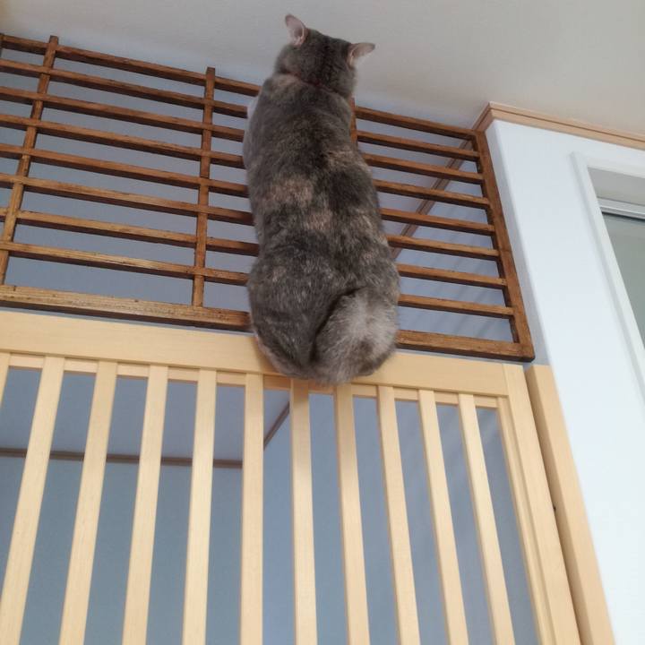 1bc825d2 fa50 48cf b414 ebb35a25e8c9