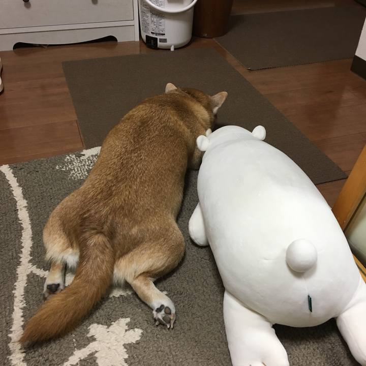 1bc8e058 5346 469b aaad 6d15725529cd