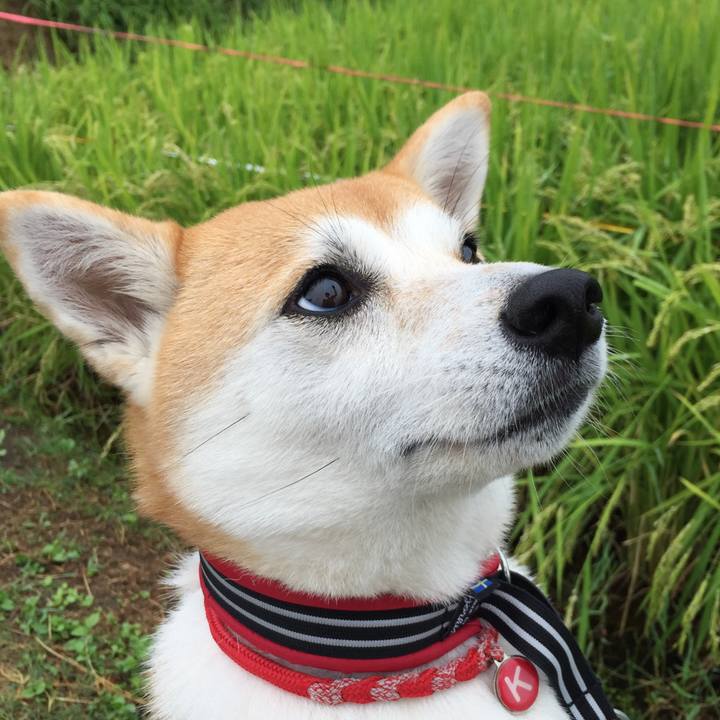 1bc94824 982f 4620 8a89 b7ee3dad003c