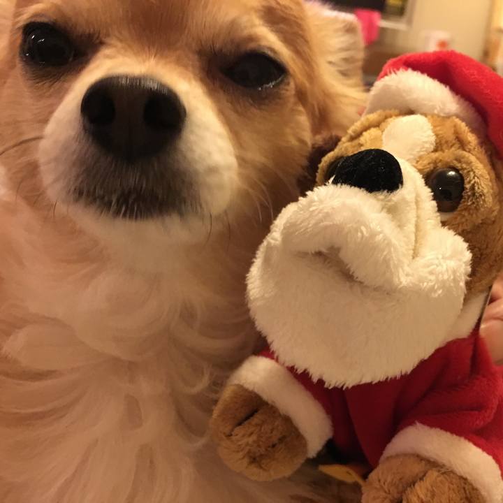 1bc974da 4581 49a6 846b e9ae6503c7be