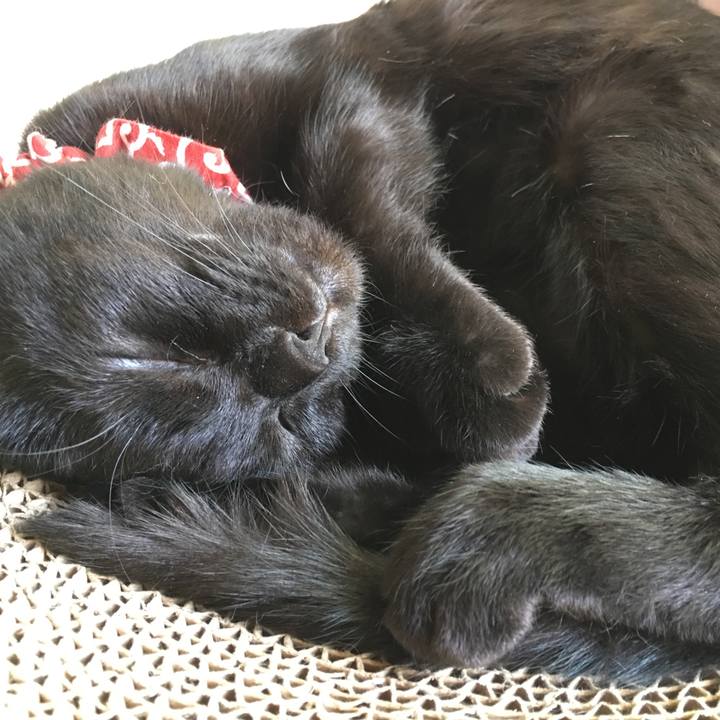 1bc9b580 8b7b 441c 8909 18bb4f7c0b9b