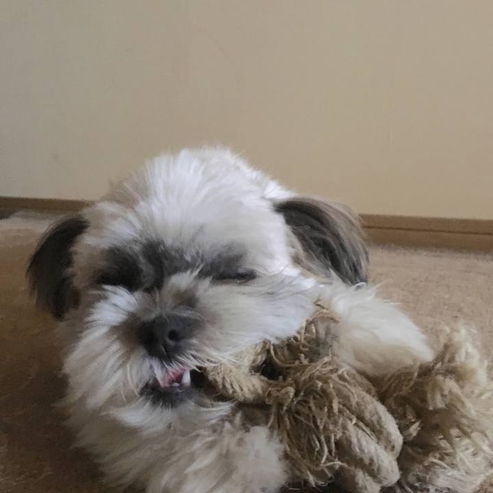 1bca31f8 1bc9 4d70 b9ff 5be13de9c83d