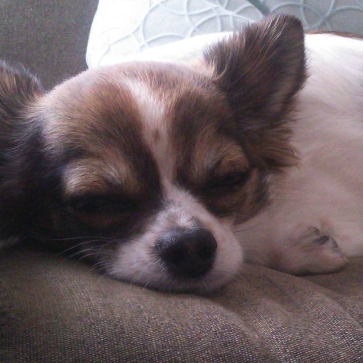 1bca50c8 d1af 49d8 9b41 5bfd01b65d3a