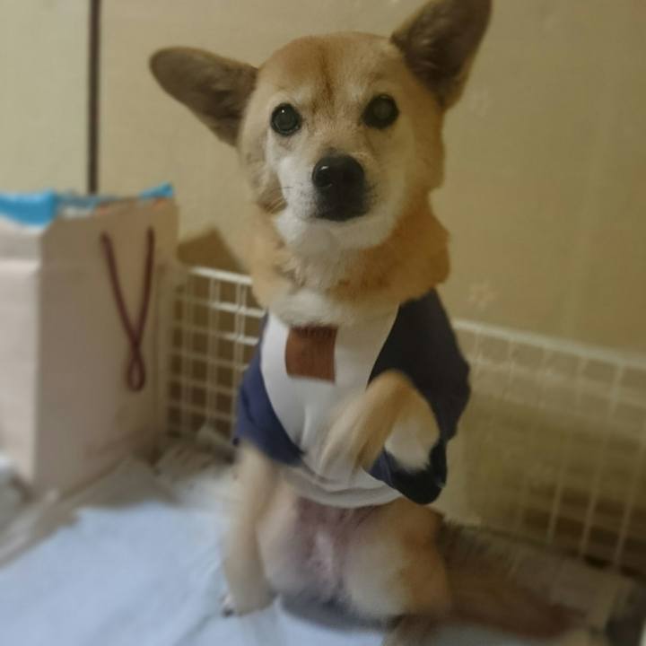 1bcad37b 69a8 42bb b410 234d27dca98c