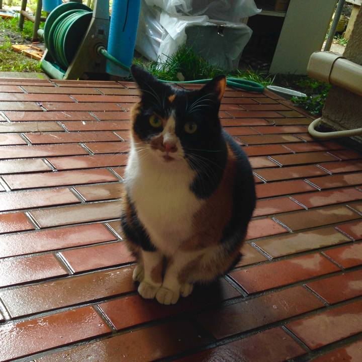 1bcb14f2 cc04 4448 8d93 04c97ddefc76