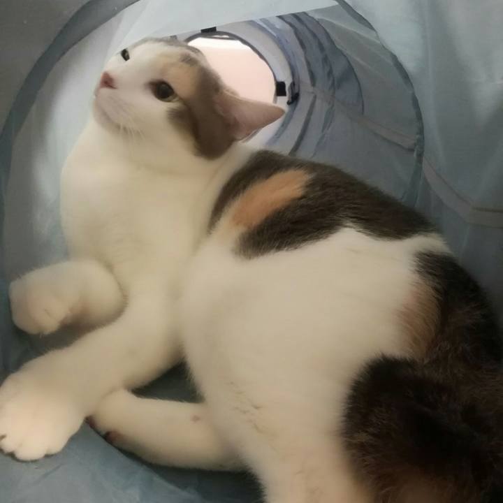 1bcb1f8a 0119 42d1 bfd4 cb83af92be14