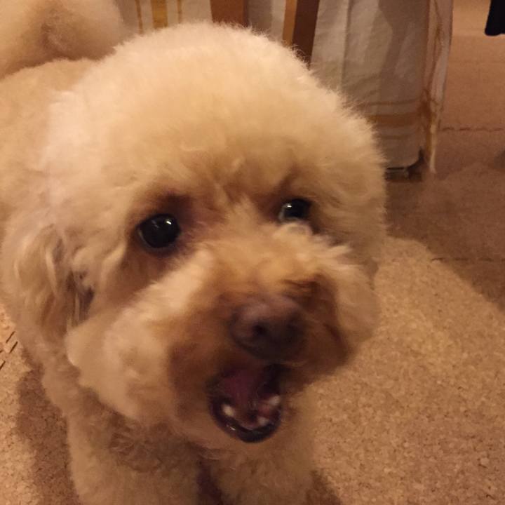 1bcb4764 41c3 406e bddb aa89aac658fd