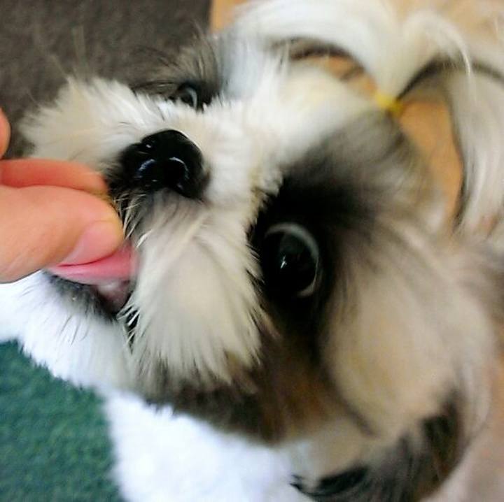 1bcb59a0 76da 4f2f b528 fe209cb18591