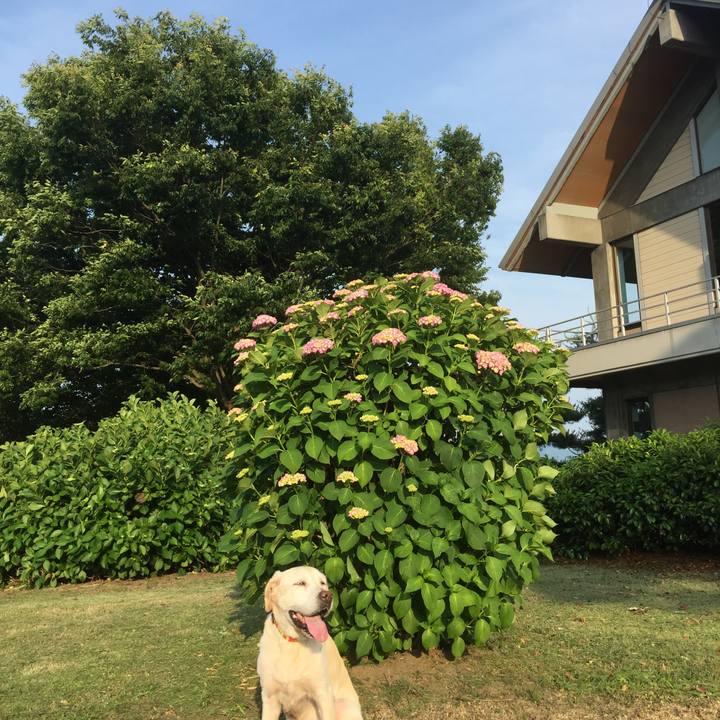 1bcba4c5 a6e8 4d25 8a8b 9375ace84306