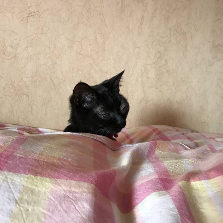 1bcc0b26 04de 4218 9223 4b41026ffbbd